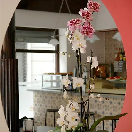 Santa Ana Elda
