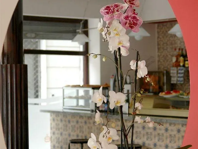 Santa Ana 엘다